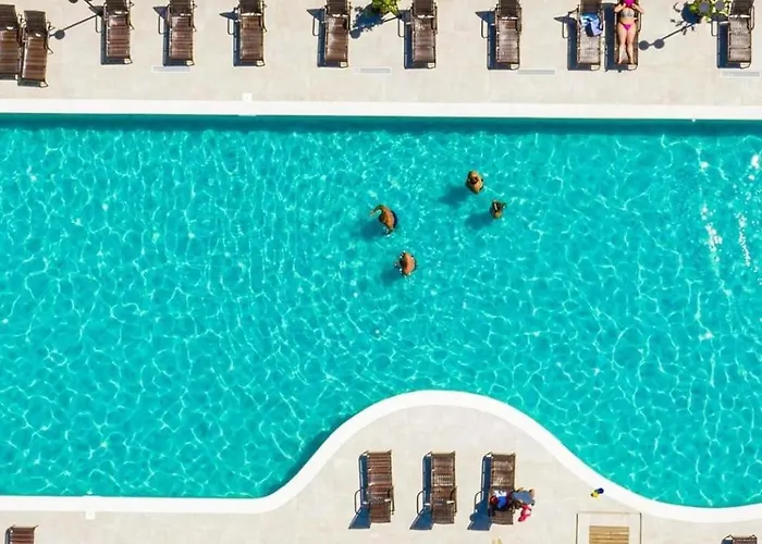 Porto Seguro Hotels